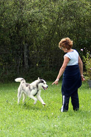 Education canine - Dressage chien Dressage du chien au rappel