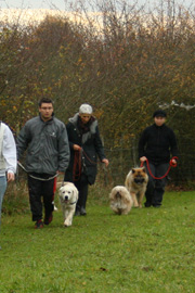 Education et dressage des chiens à Menotey | Aline AUBLÉ Education et dressage des chiens à Menotey | Aline AUBLÉ