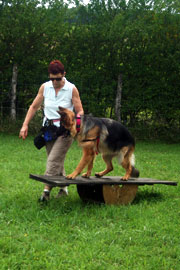 Agility loisir Agility loisir
