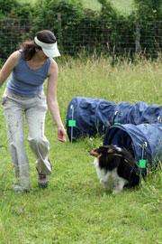 K9 Games K9 Games