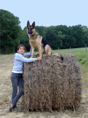 Ava Berger Allemand