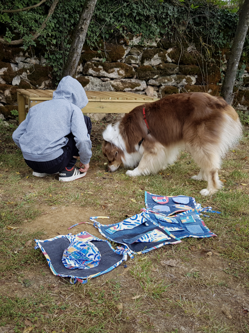 Chien et enfant en médiation