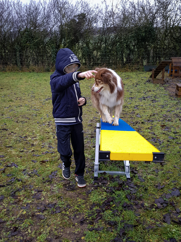 Chien et enfant en médiation animale dans le Jura