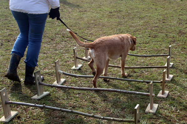 Proprioception sur barres