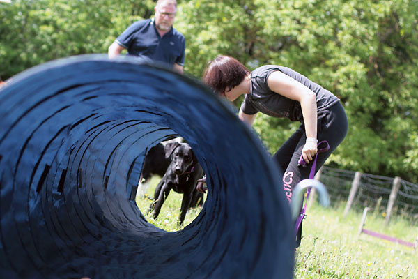 Tunnel pour chien