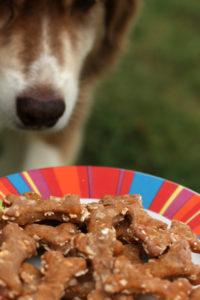 Biscuits pour chien DIY