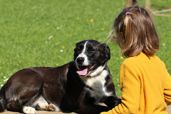 Chien et enfant