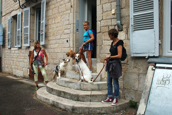 Etre pattes partout