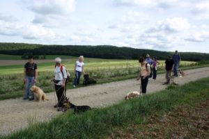 Centre canin d'Aline Aublé