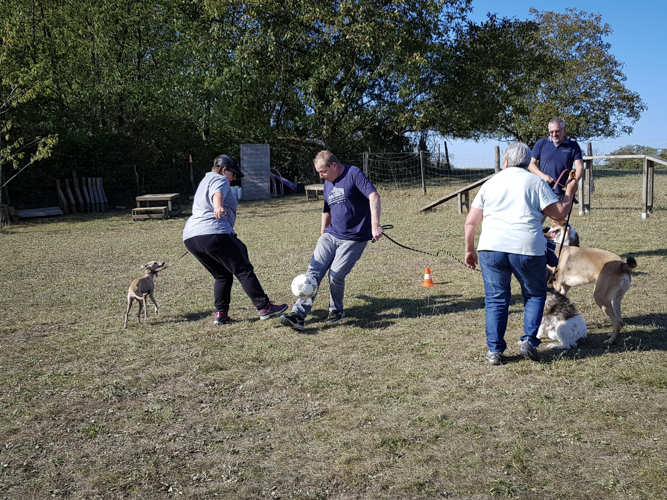 Foot avec les chiens