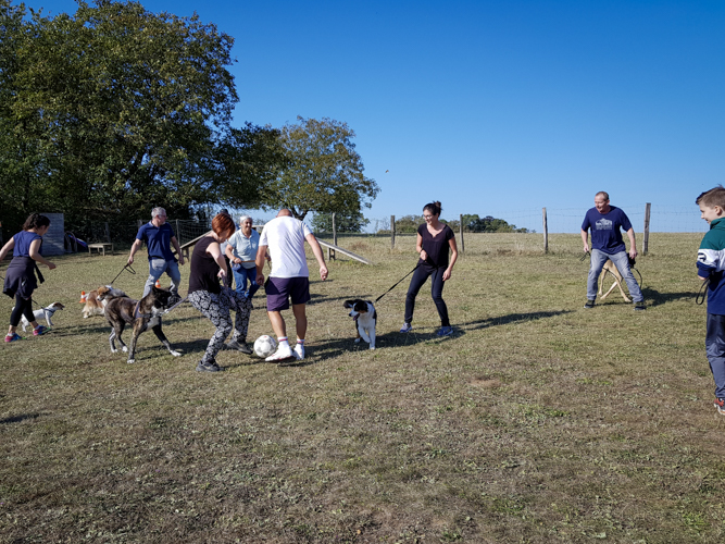 Foot avec les chiens