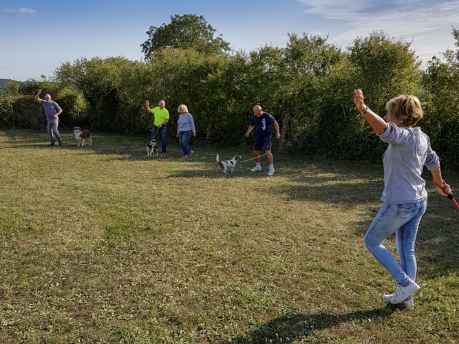 Zumba avec des chiens