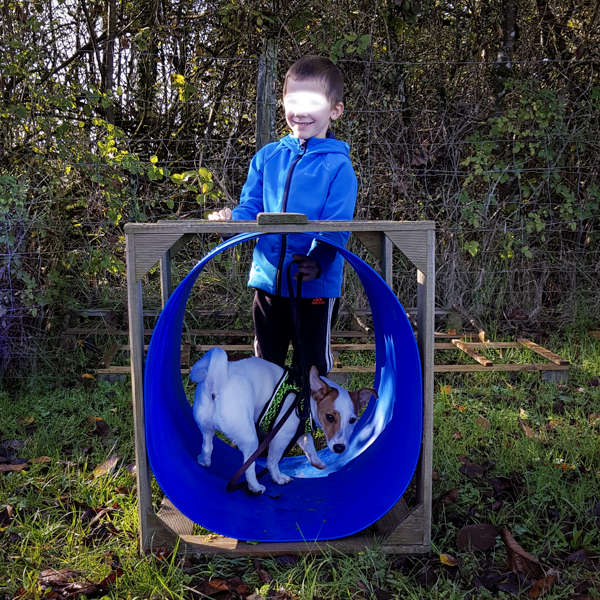 Redonner confiance dans la relation chien enfant