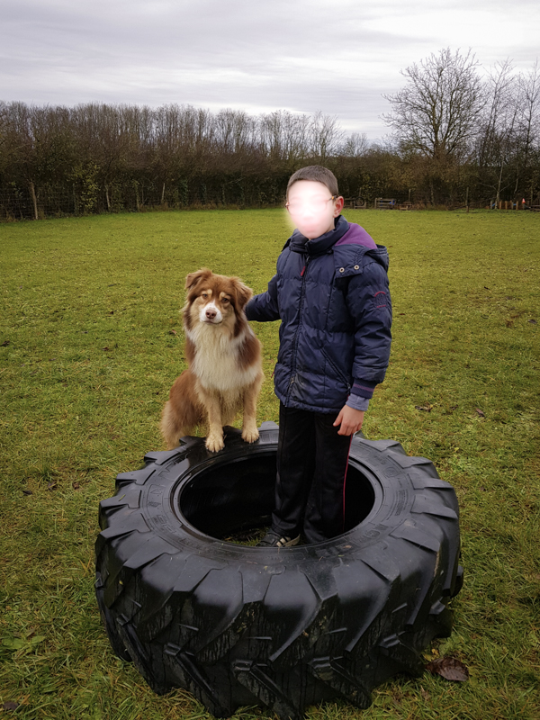 Médiation animale avec un chien