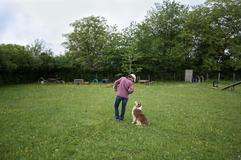 Dressage chien Menotey Centre canin