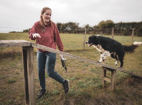 Agility Loisir