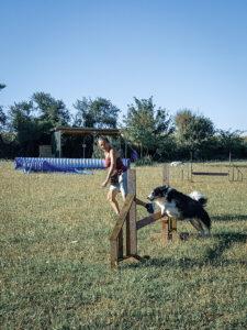 Agility loisir chien saute