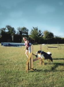 Agility loisir pour tous les chiens