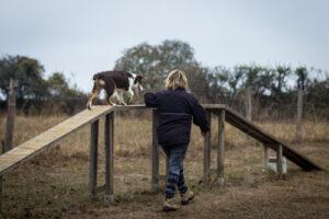 Agility loisir passerelle