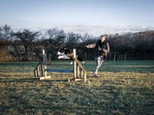 Agility loisir Dole Menotey