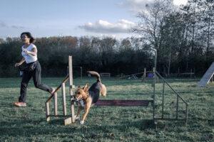 Agility loisir