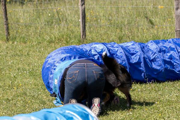 Tunnel avec un chien