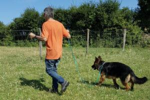 Marche en laisse