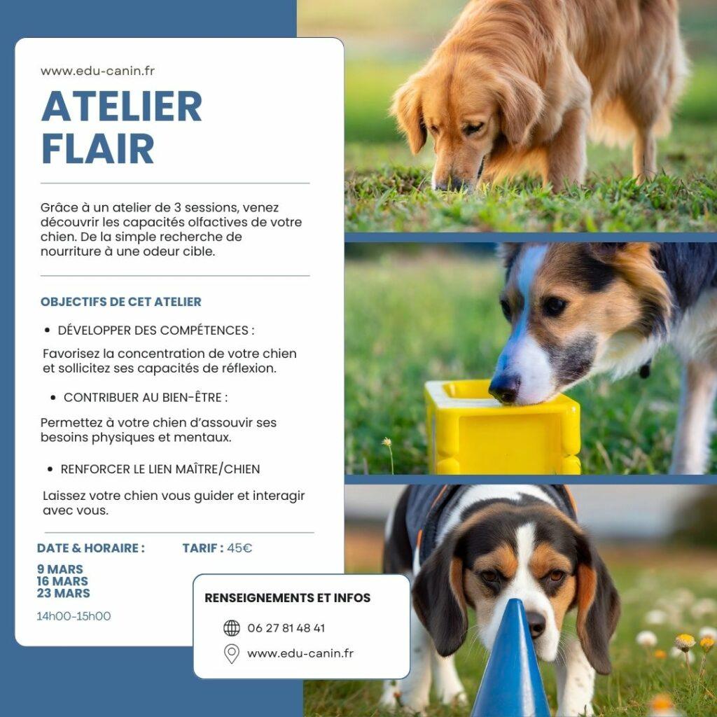 Atelier sur l'olfaction du chien