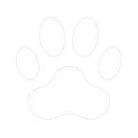 Icône de patte de chien blanche représentant l’éducation canine positive