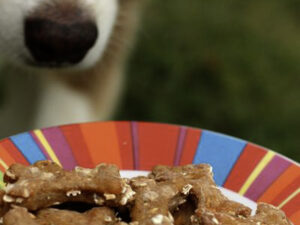 Biscuits pour chiens maison